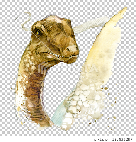 Watercolor hand drawn realistic dinosaurus. 123836297