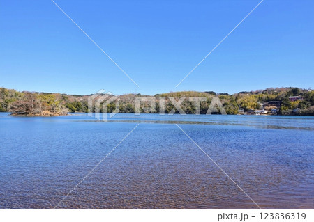 寒い早春の一碧湖風景 123836319