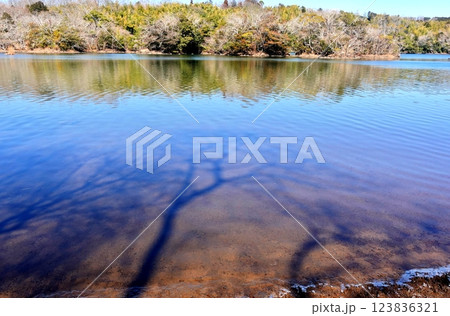 寒い早春の一碧湖風景 123836321