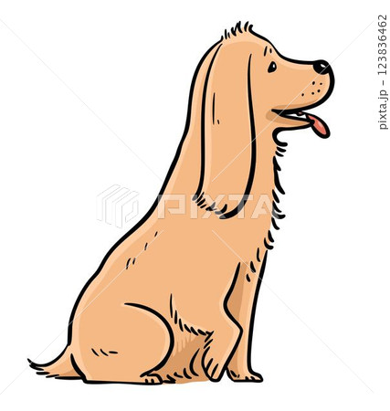 Illustration of a cute cocker spaniel 123836462