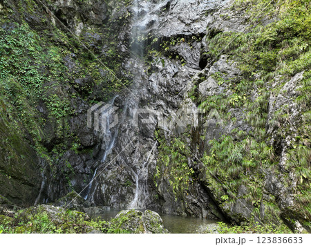 愛媛県西条市　大樽の滝 123836633