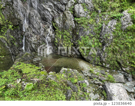 愛媛県西条市 大樽の滝 愛媛県西条市 大樽の滝 123836640