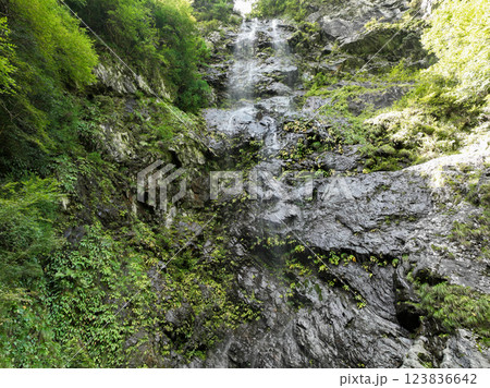 愛媛県西条市 大樽の滝 愛媛県西条市 大樽の滝 123836642