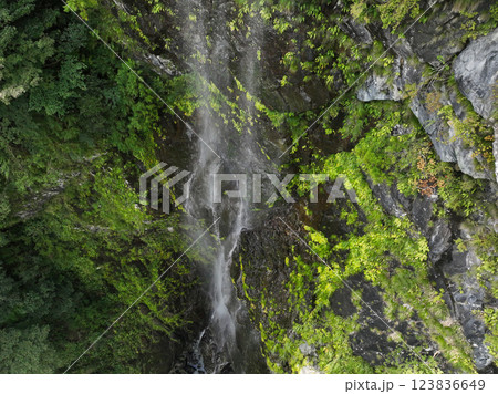 愛媛県西条市 大樽の滝 愛媛県西条市 大樽の滝 123836649