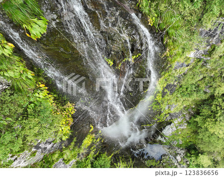 愛媛県西条市　大樽の滝 123836656