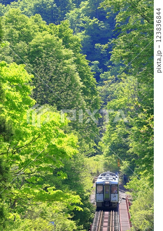 新緑の只見線 新緑の只見線 123836844