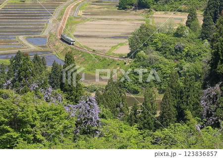 新緑の只見線 123836857