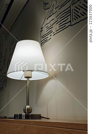 Lamp in the living room with a black wall and white wall 123837000
