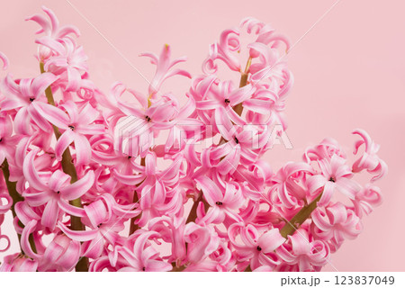 greeting card. mother's day, International Women's Day congratulate Holiday background celebration concept. flowers frame on pink background with space for text 123837049