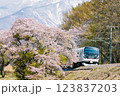 桜と雪山と鉄道コラボ 123837203