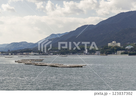 【広島宮島口　宮島口JR西日本宮島フェリーからの蠣いかだ】 123837302