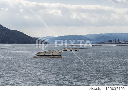 【広島宮島口 宮島口JR西日本宮島フェリーからの蠣いかだ】 【広島宮島口 宮島口JR西日本宮島フェリーからの蠣いかだ】 123837303