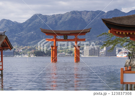 【広島宮島　大鳥居】 123837308