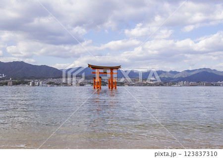 【広島宮島　大鳥居】 123837310