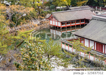 【広島宮島 豊国神社から望む厳島神社】 【広島宮島 豊国神社から望む厳島神社】 123837312