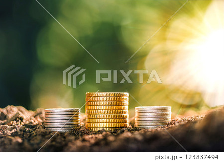 Coins placed on the ground, Growing Money - Plant On Coins - Finance And Investment Concept. planning savings money of coins to buy a home concept for property, mortgage and real estate investment. 123837494