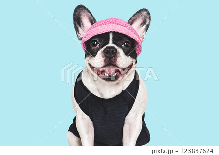 Cute puppy, sports jersey and cap. Preparing for training 123837624