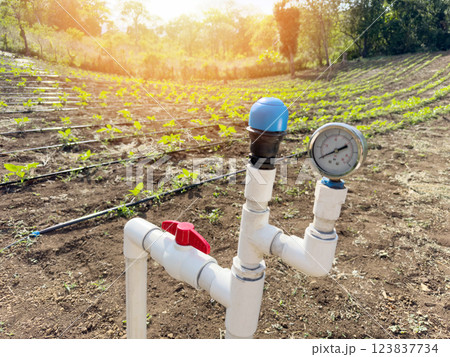 Water piping agriculture irrigation theme 123837734
