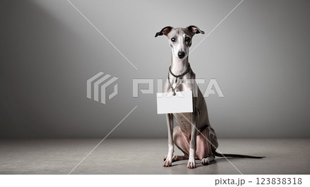 ウィペット  ドック・メッセージボード 123838318