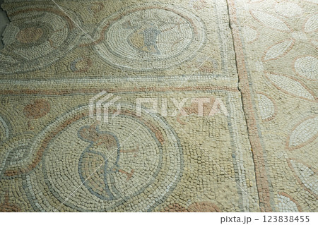 Floor mosaics from Byzantine times VI AD. They depicting walking birds, geometric ornaments and stylized fruits. Authors are unknown 123838455