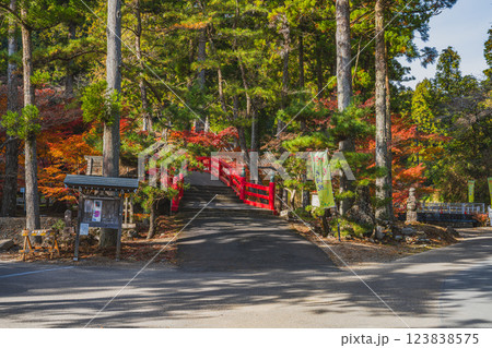 森町にある大洞院の紅葉の風景(静岡県) 123838575