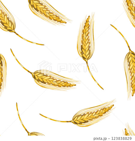 Seamless watercolor pattern. Ripe ears of wheat, yellow color, hand-drawn with watercolors. Watercolor illustration. Suitable for printing on fabric, paper, for stationery and food packaging. Seamless watercolor pattern. Ripe ears of wheat, yellow color, hand-drawn with watercolors. Watercolor illustration. Suitable for printing on fabric, paper, for stationery and food packaging. 123838829