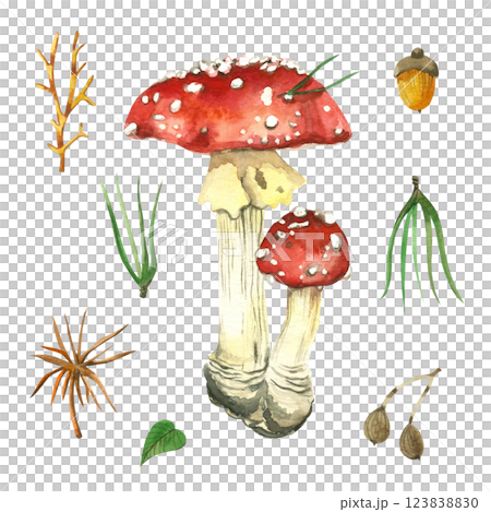Set of watercolor illustrations, red fly agaric, pine needles, acorn, tree leaves. All hand-drawn with watercolor. Watercolor illustration. For printing on kitchen textiles, for design. Set of watercolor illustrations, red fly agaric, pine needles, acorn, tree leaves. All hand-drawn with watercolor. Watercolor illustration. For printing on kitchen textiles, for design. 123838830