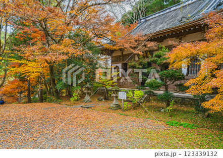 森町にある紅葉に包まれた大洞院の風景(静岡県) 123839132
