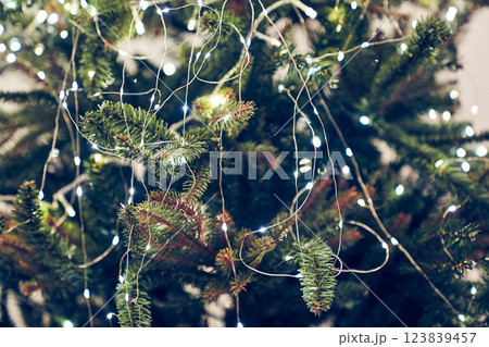 Festive decorations as a symbol of the upcoming Christmas and New Year. Fir branches with lots of white lights, an LED garland on a wire. A bright background for your design. High quality photo 123839457
