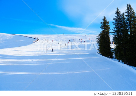 Skiers enjoying the fresh snow on a sunny winter day at the ski resort. 123839511