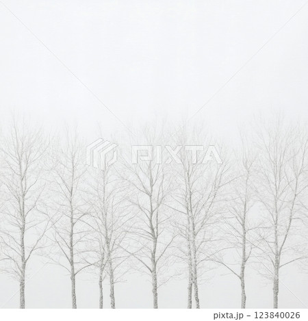 Silent winter landscape with bare trees under gray sky 123840026
