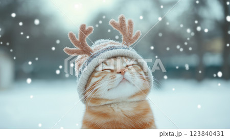 Cat Wearing a Winter Hat with Antlers in Falling Snow Cat Wearing a Winter Hat with Antlers in Falling Snow 123840431