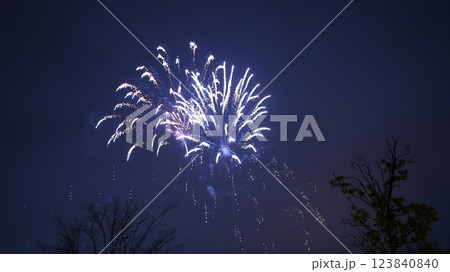 夜空に舞う花火は3.11防災花火 123840840