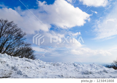 岩手県八幡平網張りの空に浮かぶ雲に風に春の息吹 岩手県八幡平網張りの空に浮かぶ雲に風に春の息吹 123841808