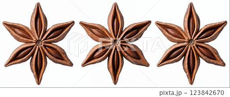 Star anise isolated on white background with clipping path, collection 123842670