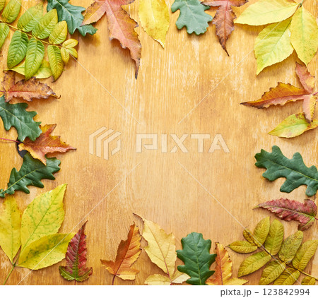 Autumn leaves frame on wooden background with colorful foliage arrangement Autumn leaves frame on wooden background with colorful foliage arrangement 123842994