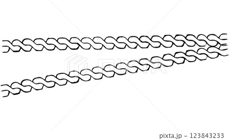Speed racing design element, grunge braids, tire tread or wheel braking tracks, wheel tire tread track, top view of car tire mark with grunge effect, black tyre print, auto tire tread grunge element 123843233