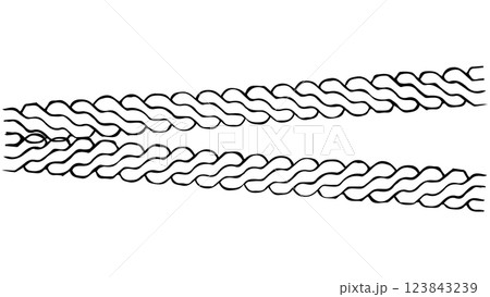 Wheel footprint on the road, black tyre print, auto tire tread grunge element, rubber protector mark, grunge braids, wheel tire tread track, top view of car, bike tire mark with grunge effect 123843239