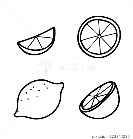 Lemon Set. Hand drawn Vector doodle elements of whole Fruit and Cut Citrus Slices. Black and White line art isolated on a white background. For product packaging, menu, logos. 123843250