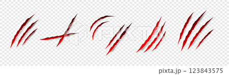 Claws scratches - vector isolated. Claws scratches animal claw tracks cat or tiger bear or lion attack nails scratches. Horror, Halloween monster. Vector 123843575
