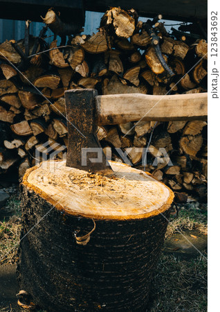 An axe with a wooden handle stuck in a wooden stump, harvesting firewood in the forest 123843692