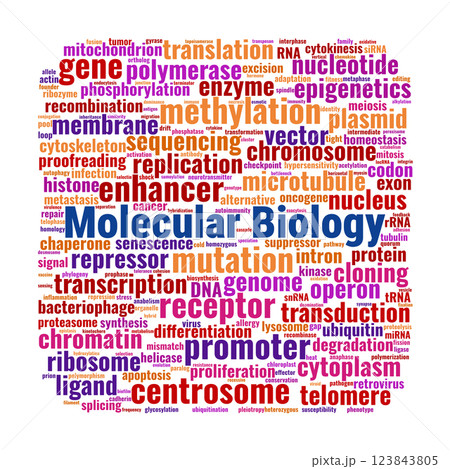 Molecular Biology Word Cloud. Key Concepts in DNA, RNA, Proteins, and Cellular Processes Molecular Biology Word Cloud. Key Concepts in DNA, RNA, Proteins, and Cellular Processes 123843805