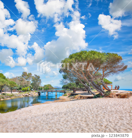 Exciting view of Maritime pine trees and Osala Beach in national park Stagno Longu. 123843870