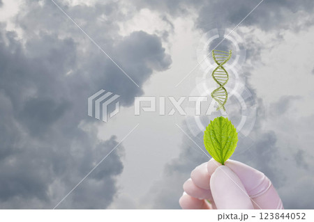 Genetic engineering and nature. 123844052