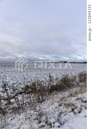 an agricultural field in winter 123844155