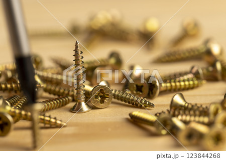 yellow metal self tapping screws for fastening are used in construction 123844268