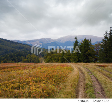 autumn mountain road view autumn mountain road view 123844282