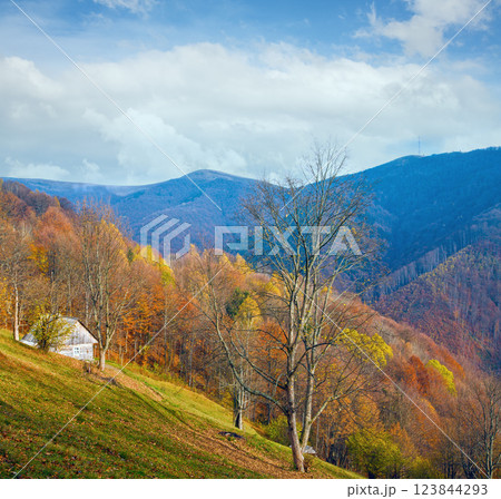 autumn mountain view 123844293