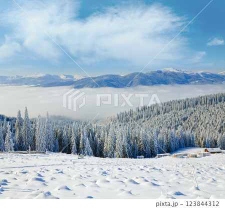 winter mountain landscape 123844312