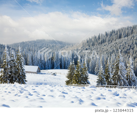 winter mountain landscape 123844315